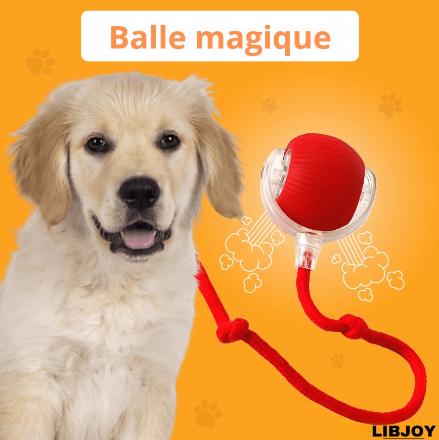 LIBJOY - Balle magique pour chien