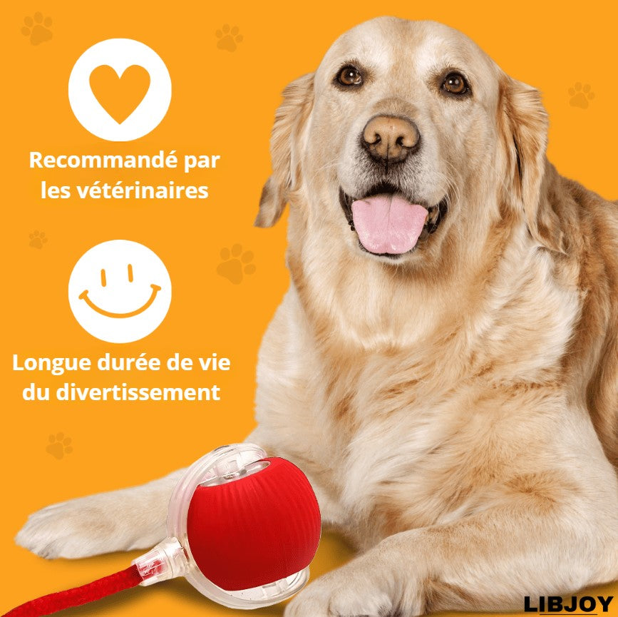 LIBJOY - Balle magique pour chien