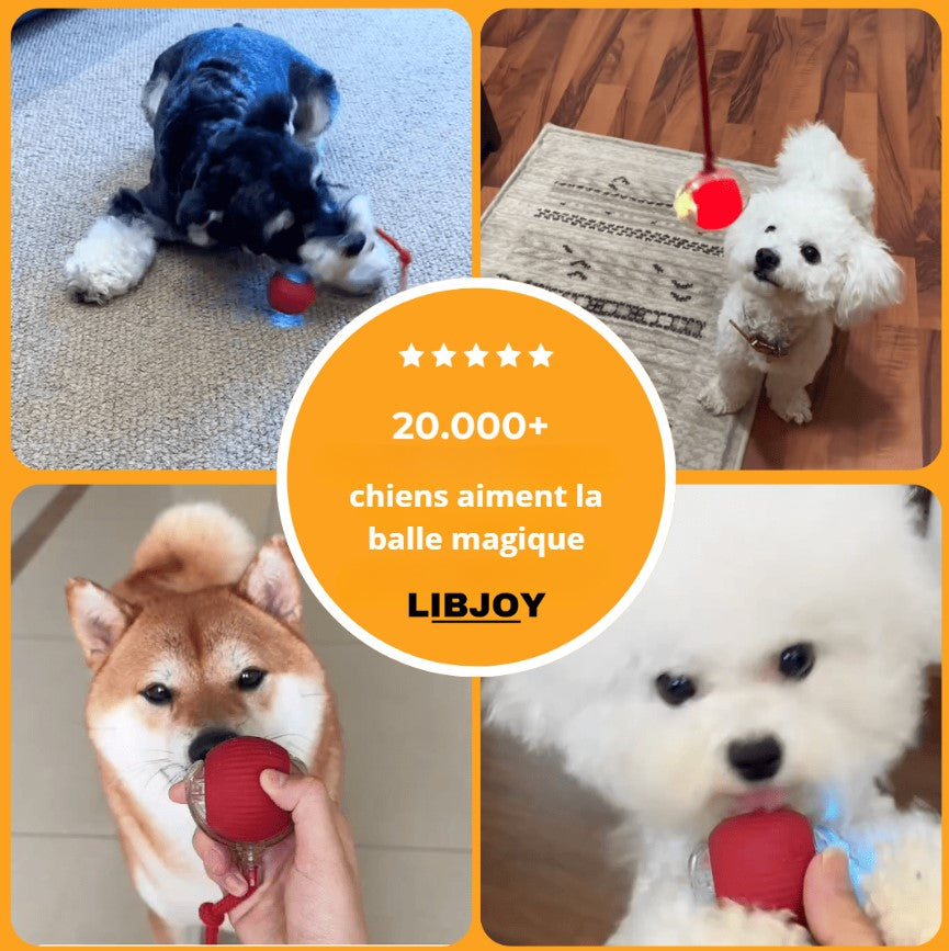 LIBJOY - Balle magique pour chien