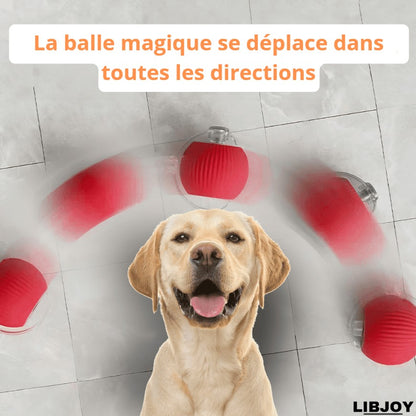 LIBJOY - Balle magique pour chien